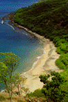 vp2mbeach.gif (306274 bytes)