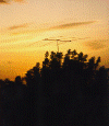 vp2msunset.gif (134220 bytes)